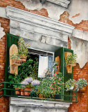Fenetre fleurie Venise