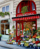 fleuriste ile saint Louis