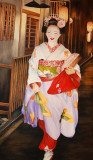 geisha - 芸者