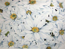 marguerites
