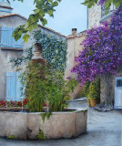 ruelle bormes les mimosas