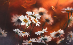 marguerites OIL wood 45 x 60
