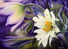 printemps oil wood 30 X 40